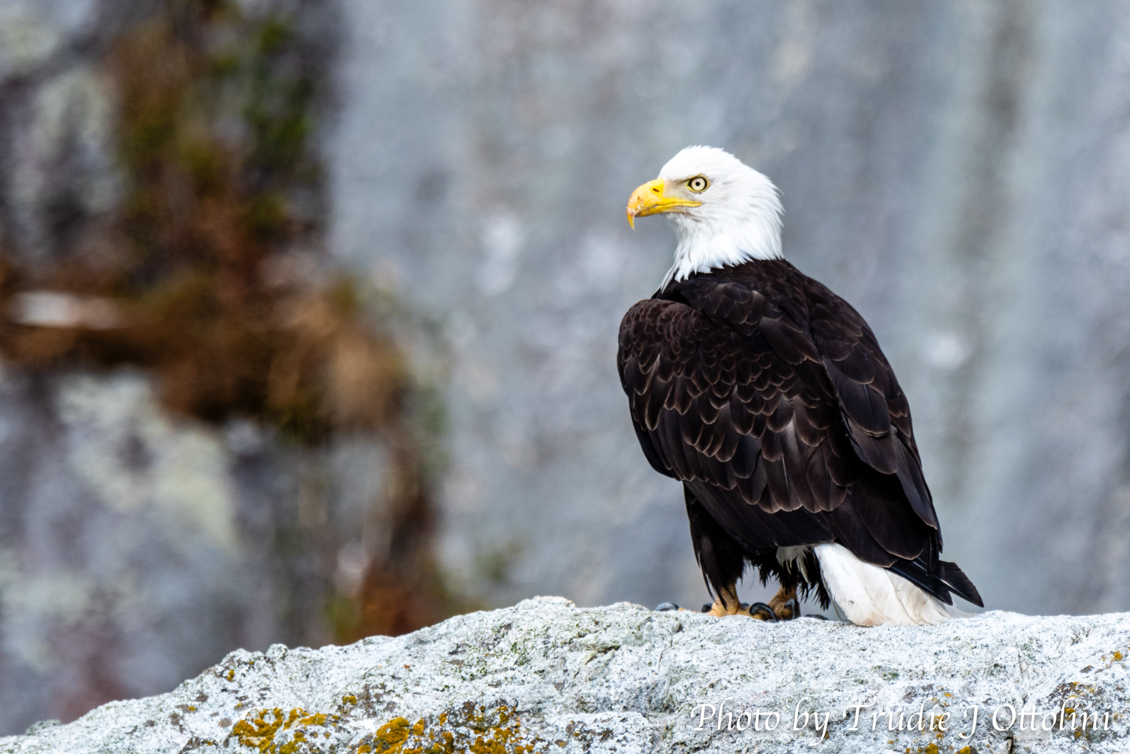 Northern Photo Safari!