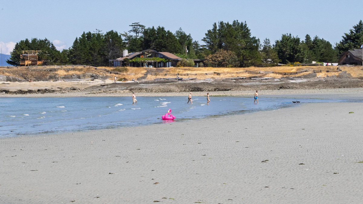 Exploring Denman and Hornby Islands: A Perfect Day Trip