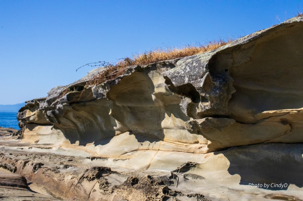 Malaspina Galleries on Gabriola Island BC
