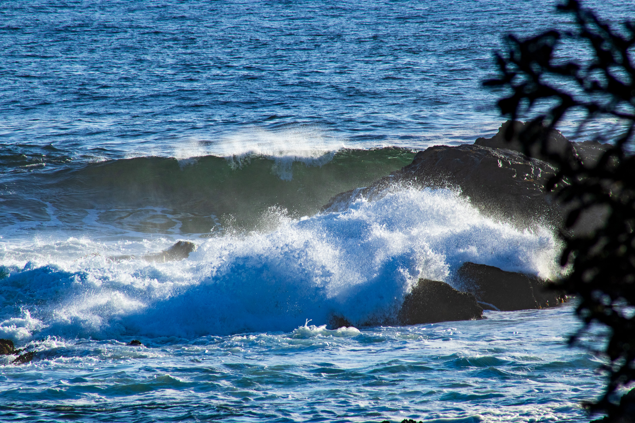 crashing waves against the rocks in Ucluelet BC