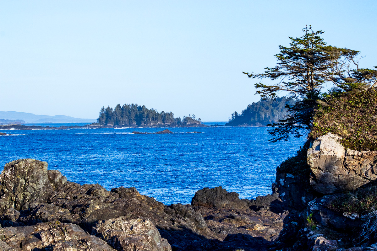 Ucluelet And Tofino