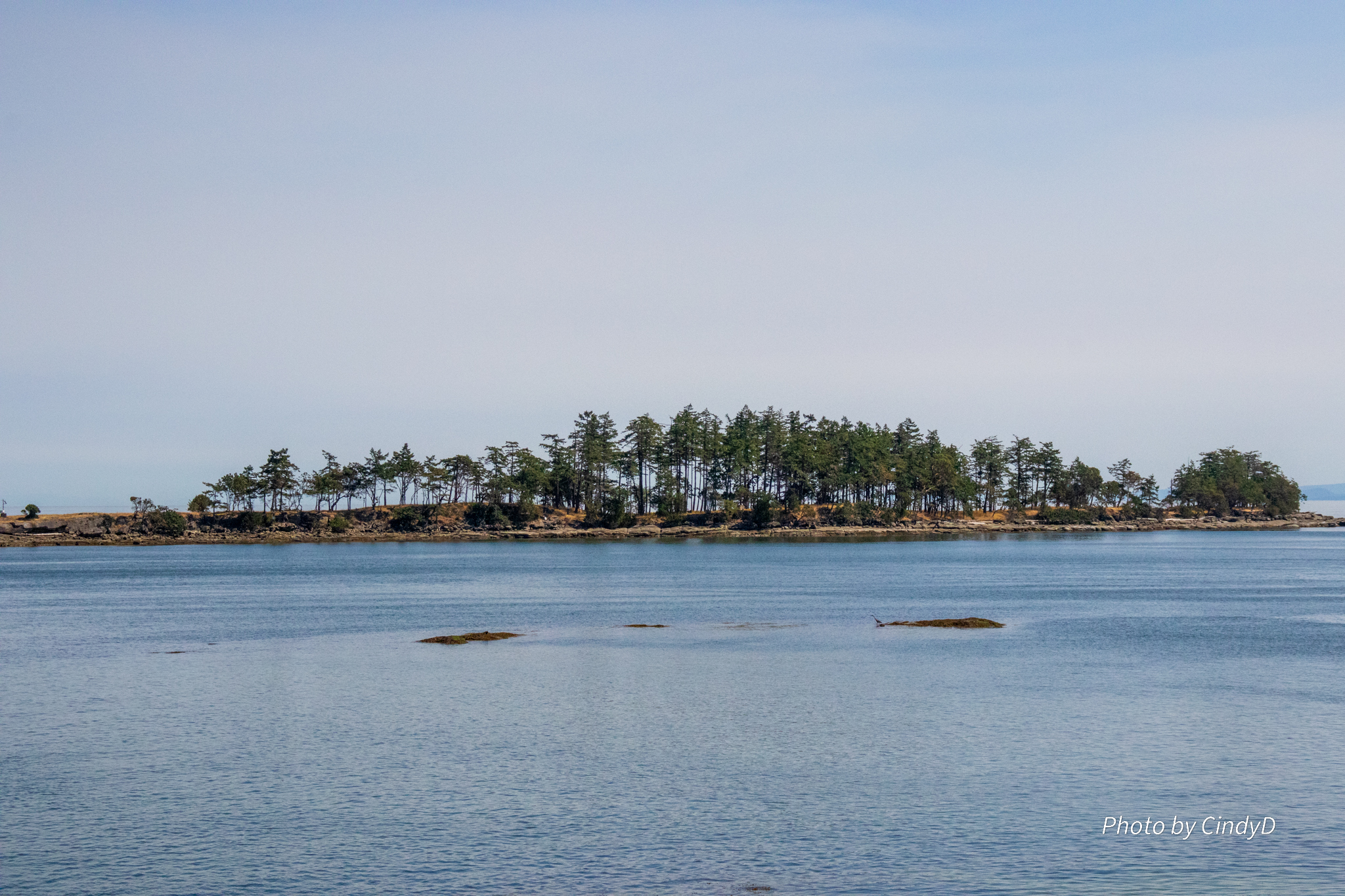 A small island of sparsely treed and bare land in a blue expanse of ocean exposing tiny spots of land.