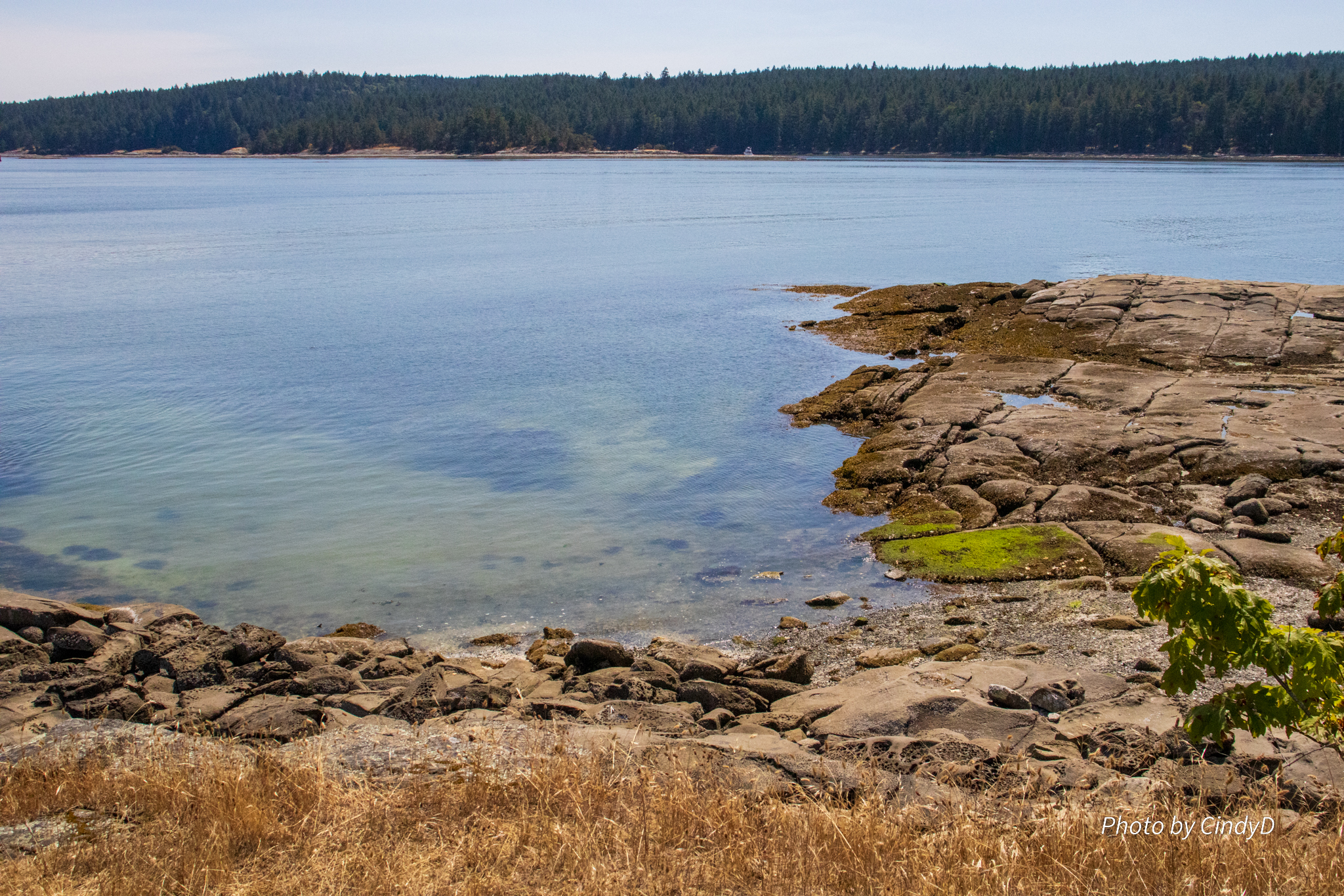 The flat rocky formations of the shoreline bump up against the green and blue of the ocean water.