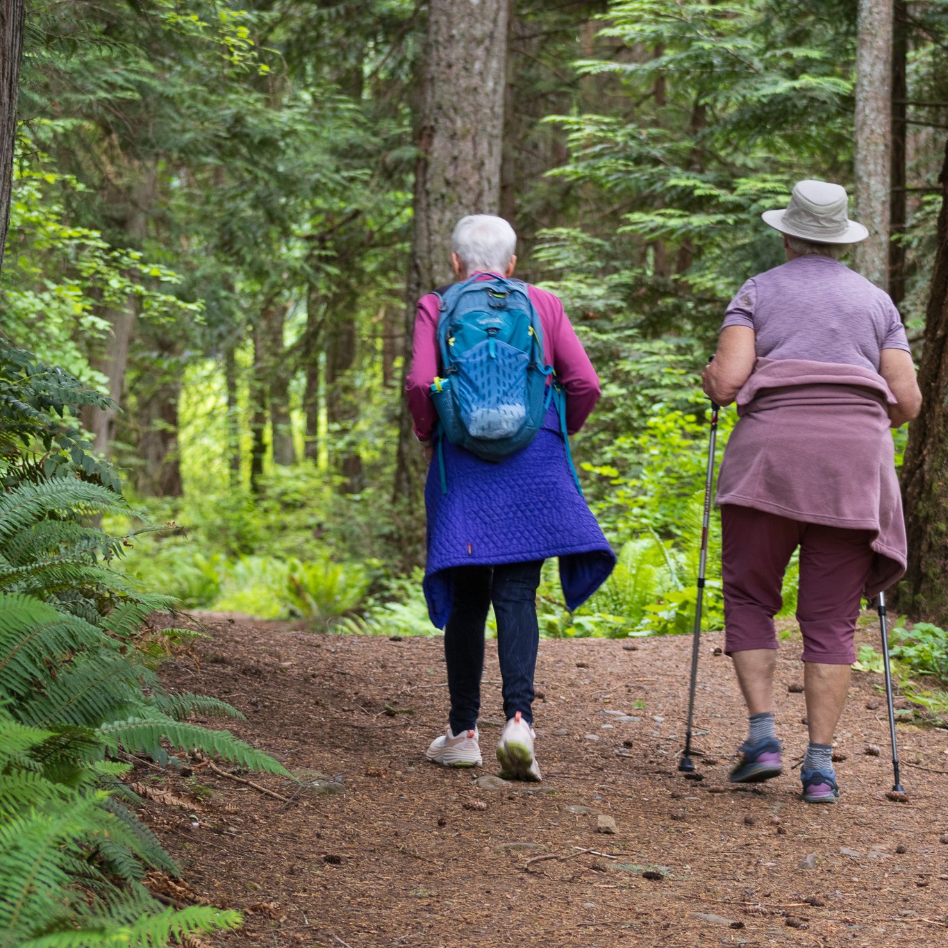 Two seniors walking side by side on the forest pathway.
