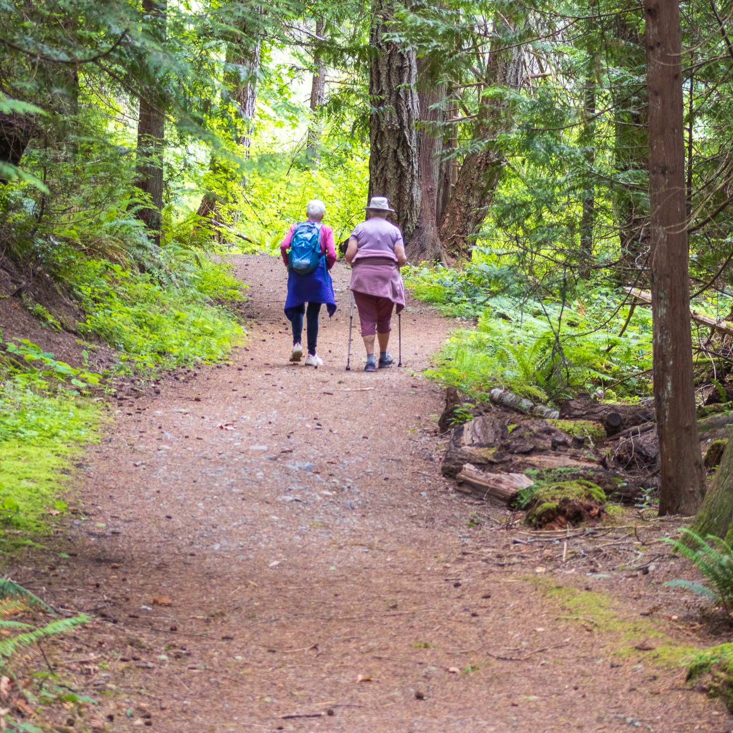 Two seniors walking side by side on the forest pathway.