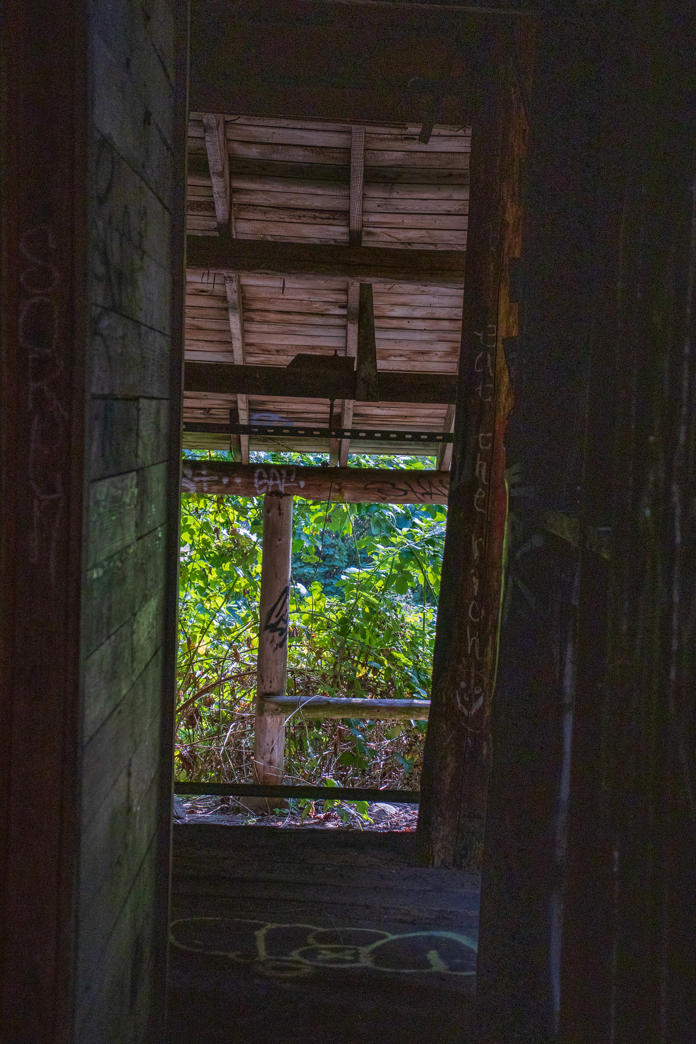 A photographers perspective of looking through a doorway and adjacent window of an old wood framed building.