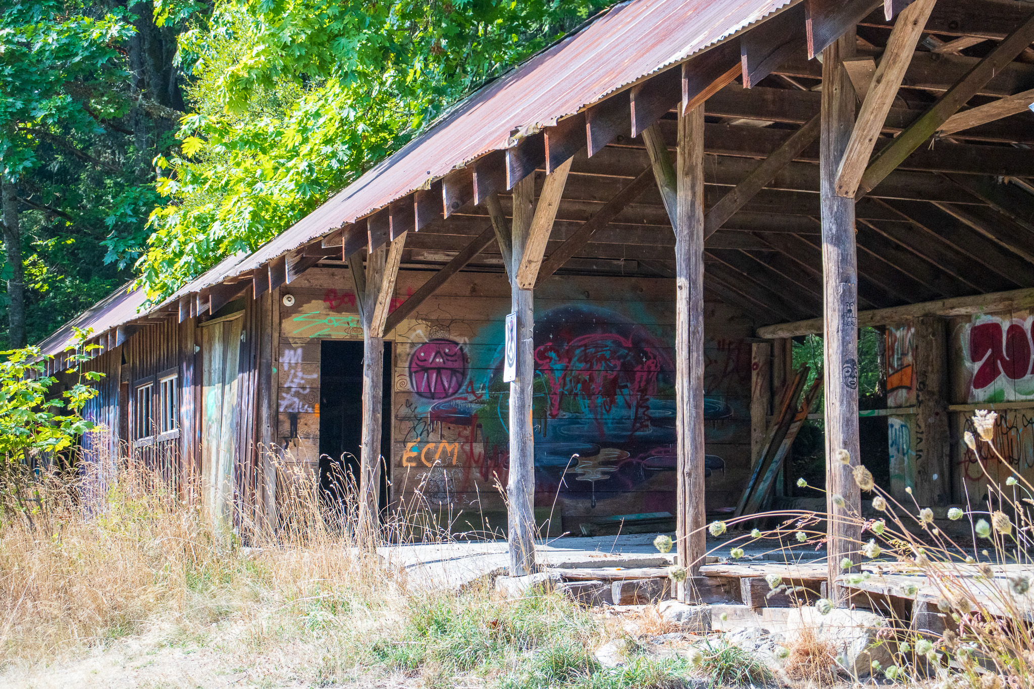 This old wood frame building on Salt Spring Island is rich in bright colored and interesting graffiti.
