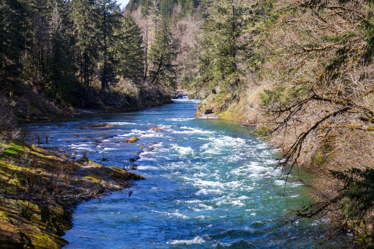 Lake Cowichan River