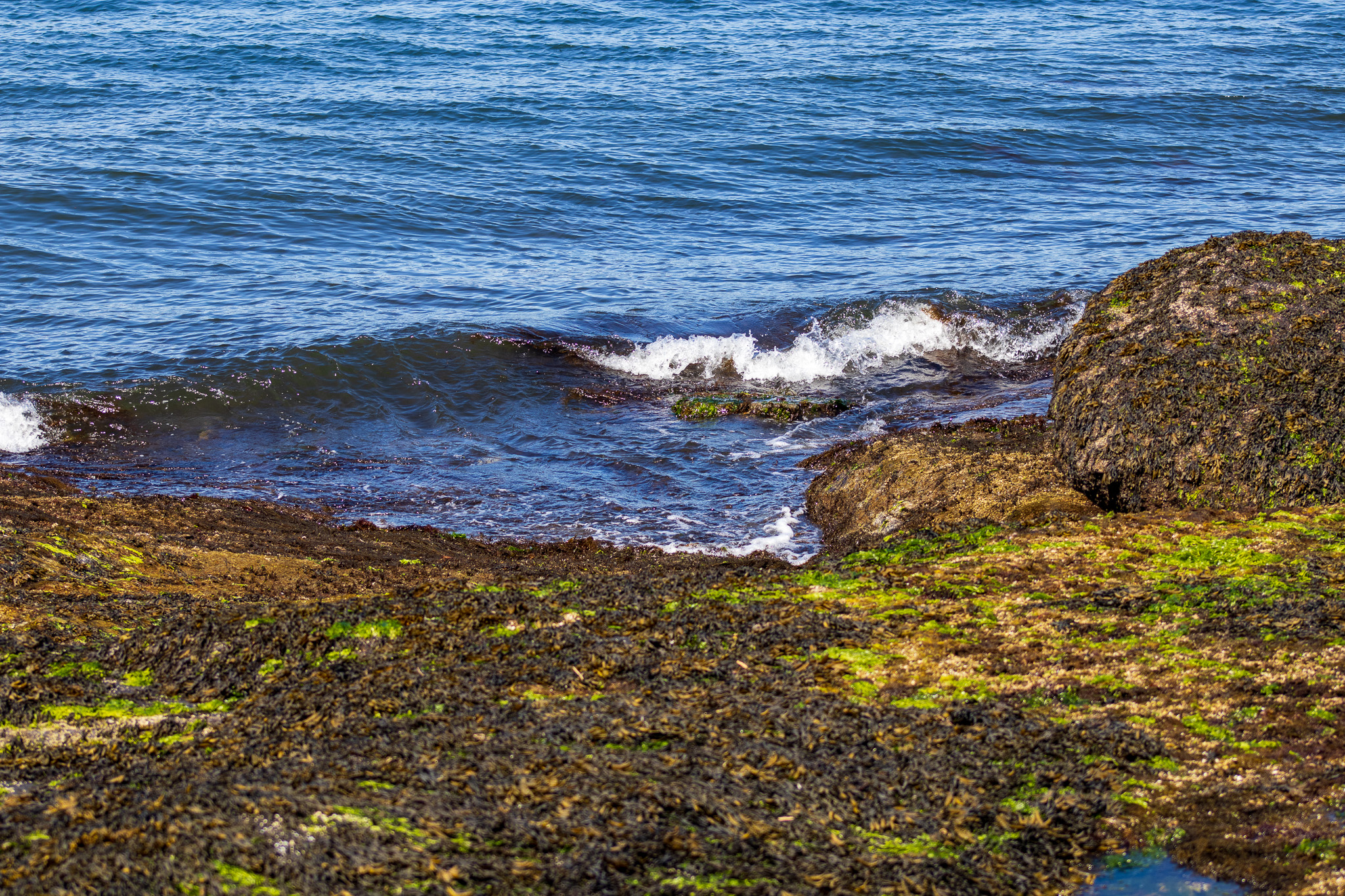 A wave breaking on the shoreline — the coastline answering back.