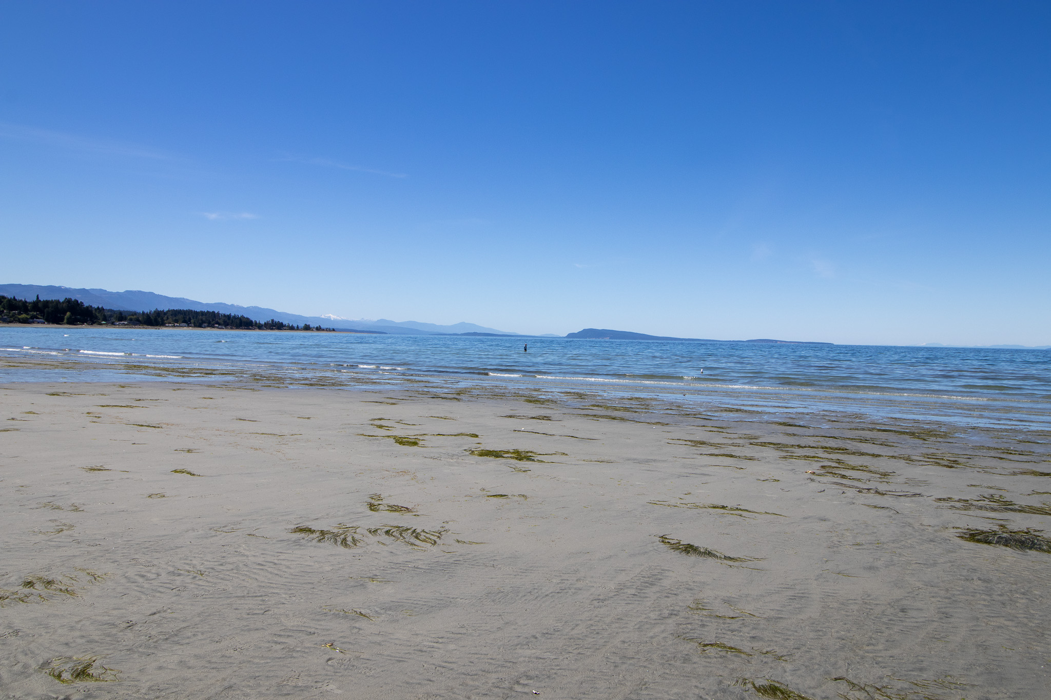 Blue sky, blue ocean, and warm sand stretch across the horizon.