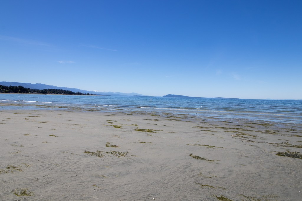 Blue sky, blue ocean, and warm sand stretch across the horizon.