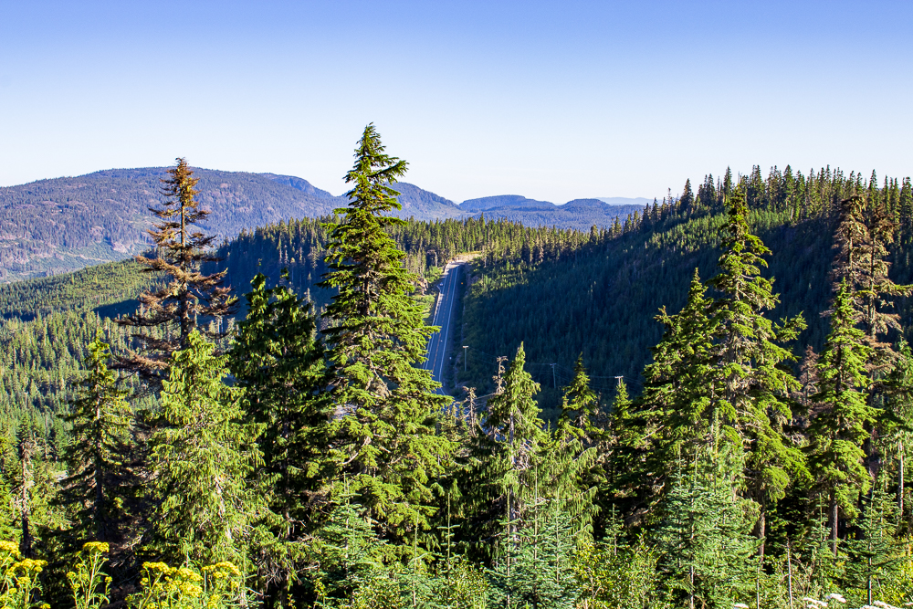 Mt. Washington Alpine Resort